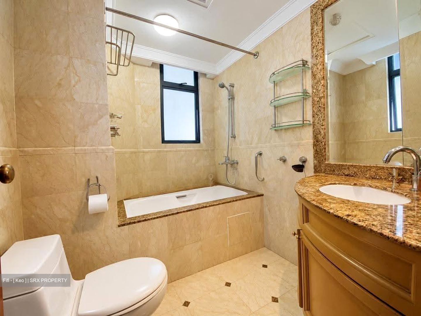 Valley Park (D10), Condominium #632933961